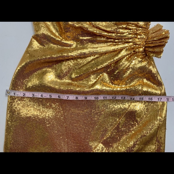 “HOST PICK” Retrofete Caroline Sequined Dress - Picture 11 of 13